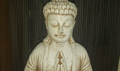 img-41